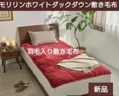 2026年最新】モリリン 敷きパッドの人気アイテム - メルカリ