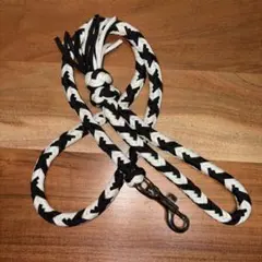 Item thumbnail for item 96bf785e-b3b3-4e24-830b-ae68efaf65bd