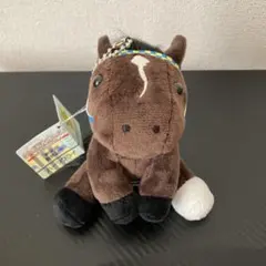 Item thumbnail for item b451cc54-534e-489c-8227-d23eed37b8d6