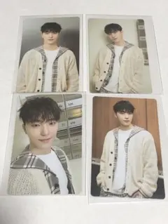 セブチ　ケレン2024 トレカ　ディノ