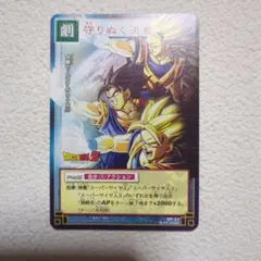 ドラゴンボール カードゲーム SP-22 守りぬく決意 ドラゴンボール カードゲーム SP-22 守り抜く決意 - メルカリ