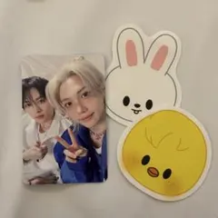 straykids ペンミ 3/28 入場特典トレカ 落下物 リノ - メルカリ