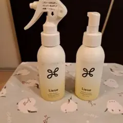 Item thumbnail for item 77fb1d6e-19a1-43b8-b170-6600e3728826