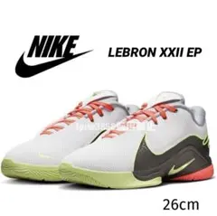 2026年最新】レブロン22 epの人気アイテム - メルカリ