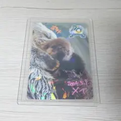 鳥羽水族館 コレクションカード メイ