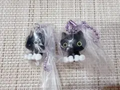 サンエックスユニバース チャームつきグミ【靴下にゃんこ】