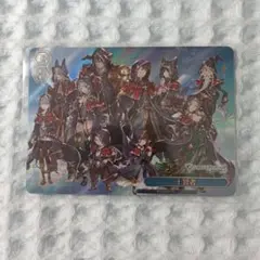 寄り添う絆 銀狼の合成獣&ランサー RR ヴァイスシュヴァルツブラウ