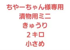 ちやーちゃん様専用！漬物用ミニきゅうり２キロ　小さめ