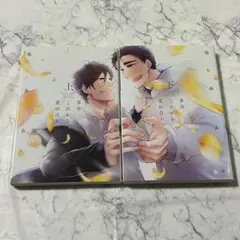 やや美品 BL コミック 多分これから愛の日々 池森あゆ (上) (下) 2冊