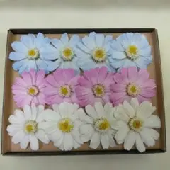 くるみこ様専用