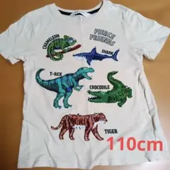 H&M 恐竜 グラフィック Tシャツ 6-8Y