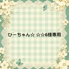 ひーちゃん☆ ☆☆様　專用
