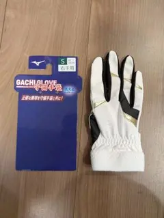 Item thumbnail for item 4cd62077-1d9d-4e0c-b267-1f337d99e0b1