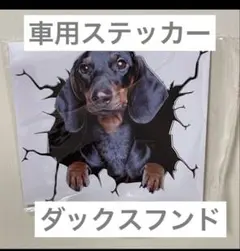 車用ステッカー　犬　3D　シール　カー用品 ダックスフンド　15㎝×15㎝