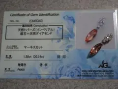 Item thumbnail for item 4e0b7818-370b-4547-8888-5909752e017a