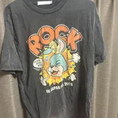 ROCK IN JAPAN FESTIVAL 2025 ヴィンテージ風 Tシャツ - メルカリ