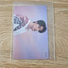 SEVENTEEN DINO トレカ