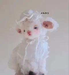 2026年最新】作家 テディベアの人気アイテム - メルカリ