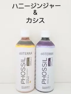 Item thumbnail for item 0963d0be-5315-42c6-8cfe-7afb7b4a63b8