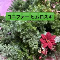 ✳︎リスのお花✳︎様 リクエスト 2点 まとめ商品