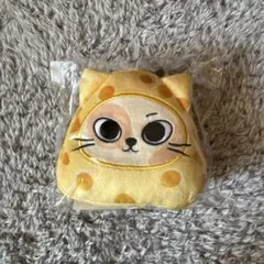 ソンホ　トムジェリ　キーリング　プネクド　BOYNEXTDOOR　チーズ