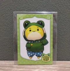 カラフルピーチ　シヴァさん 初期トレカ