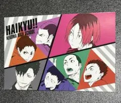 ハイキュー　特典　アニメイト　ポストカード　音駒