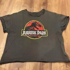 MY LITTLE WONDER ジュラシック・パーク Tシャツ 120