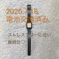 カシオ　快適　軽量　 スリム　旅行のサムネイル
