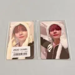 &TEAM 雪明かり ふわふわアニマルトレカ　NICHOLASニコラス　2枚