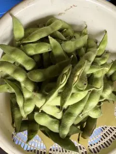 山形県枝豆湯上り娘600gです。訳ありです。のサムネイル