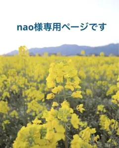nao様専用ページです！