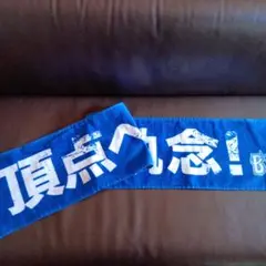 横浜ベイスターズ応援タオル未使用