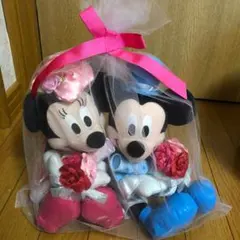 【未使用】ウェルカムドール