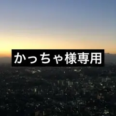 かっちゃ様専用のサムネイル