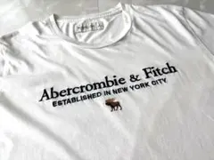 Abercrombie & Fitch Tシャツ ホワイト　刺繍Sのサムネイル