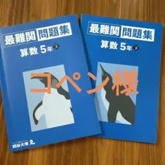 こぺん様 リクエスト 2点 まとめ商品