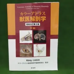 2026年最新】カラーアトラス獣医解剖学〈下巻〉の人気アイテム - メルカリ