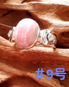 Item thumbnail for item 0513999d-9ccf-4715-9c45-ebb621a3c946