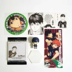 ハイキュー 菅原孝支 アニカフェコースター ジャンプショップ