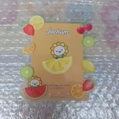 JOCHUM Bira トレカケース