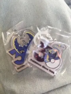 ポケモン30周年目印チャーム