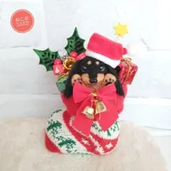 2025年最新】あみぐるみミニチュアダックスの人気アイテム - メルカリ