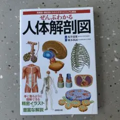 ぜんぶわかる人体解剖図 : 系統別・部位別にわかりやすくビジュアル解説