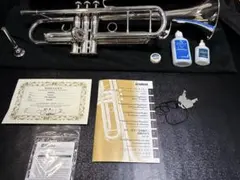 2026年最新】YTR 9335の人気アイテム - メルカリ