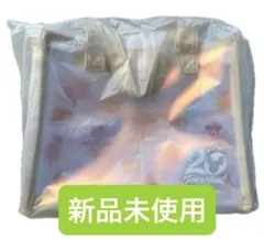 ディズニー　スーベニアランチケース　20周年　バッグ　ミニーファンダーランド