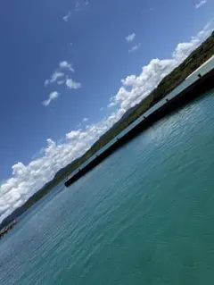 Item thumbnail for item 2cd1f6bd-85fe-4d46-82af-92474dee9aca