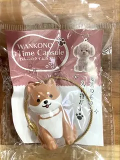 わんこのタイムカプセル　まめ