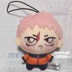 【匿名発送‼️2点❗️虎杖悠仁/脹相】呪術廻戦 ちょぴぬいぷち ちびぐるみ 2026年最新】ちょぴぬい 虎杖悠仁の人気アイテム - メルカリ