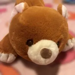 ディズニーストア　春くじ　くま　マイケルのテディベア　筆箱　ペンポーチのサムネイル